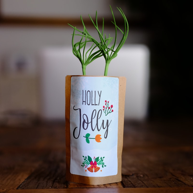 Holly Jolly