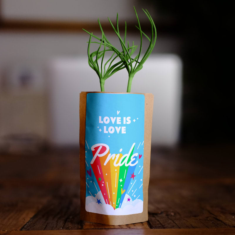 Pride Love is Love