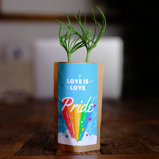Pride Love is Love