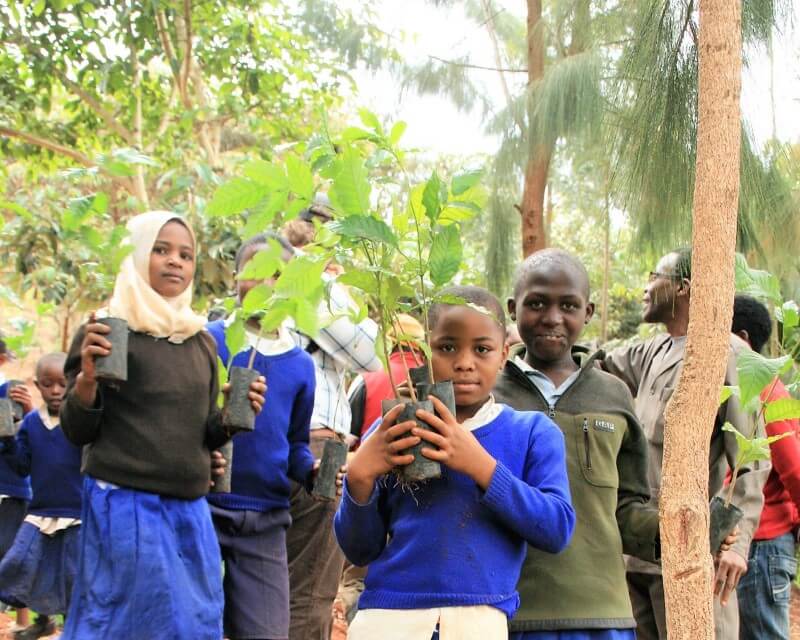 tanzania impact
