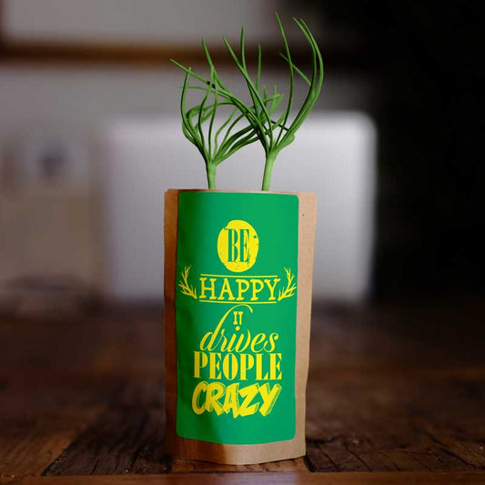 encouragement