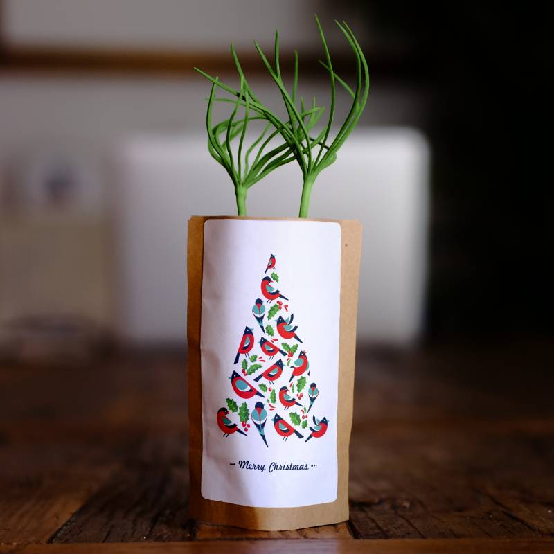 Merry Christmas Birdy Tree
