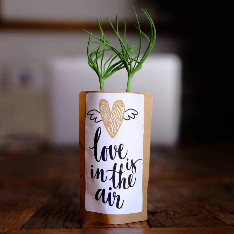 Love is in the air