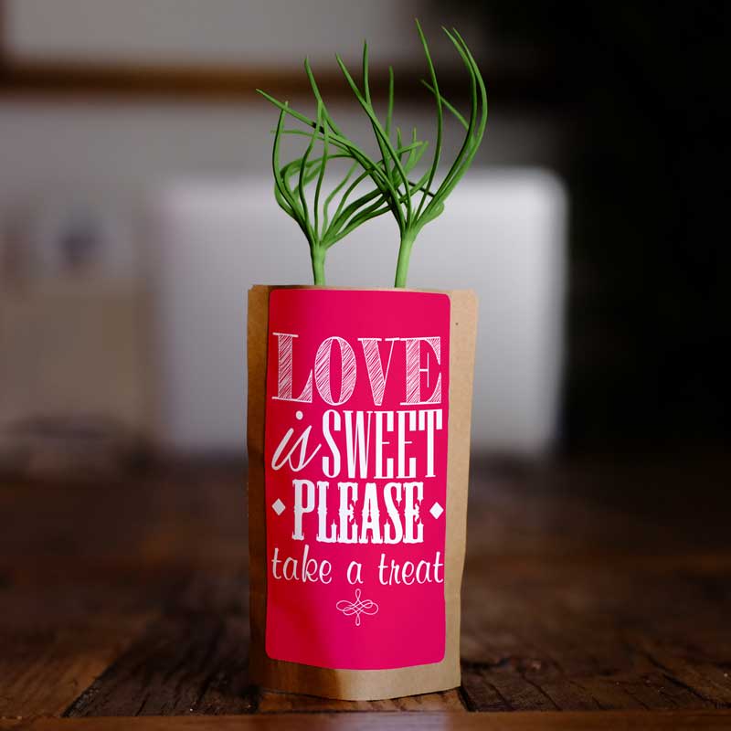 Love is Sweet Take a Treat