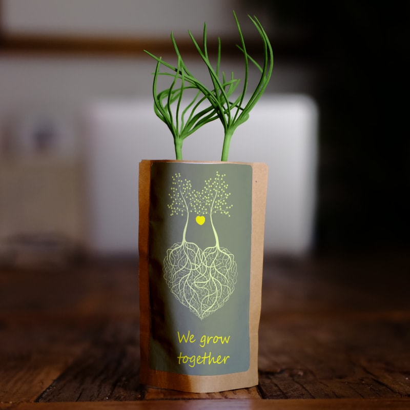 Nurture Our Roots with 100 Trees – “Roots of Love"