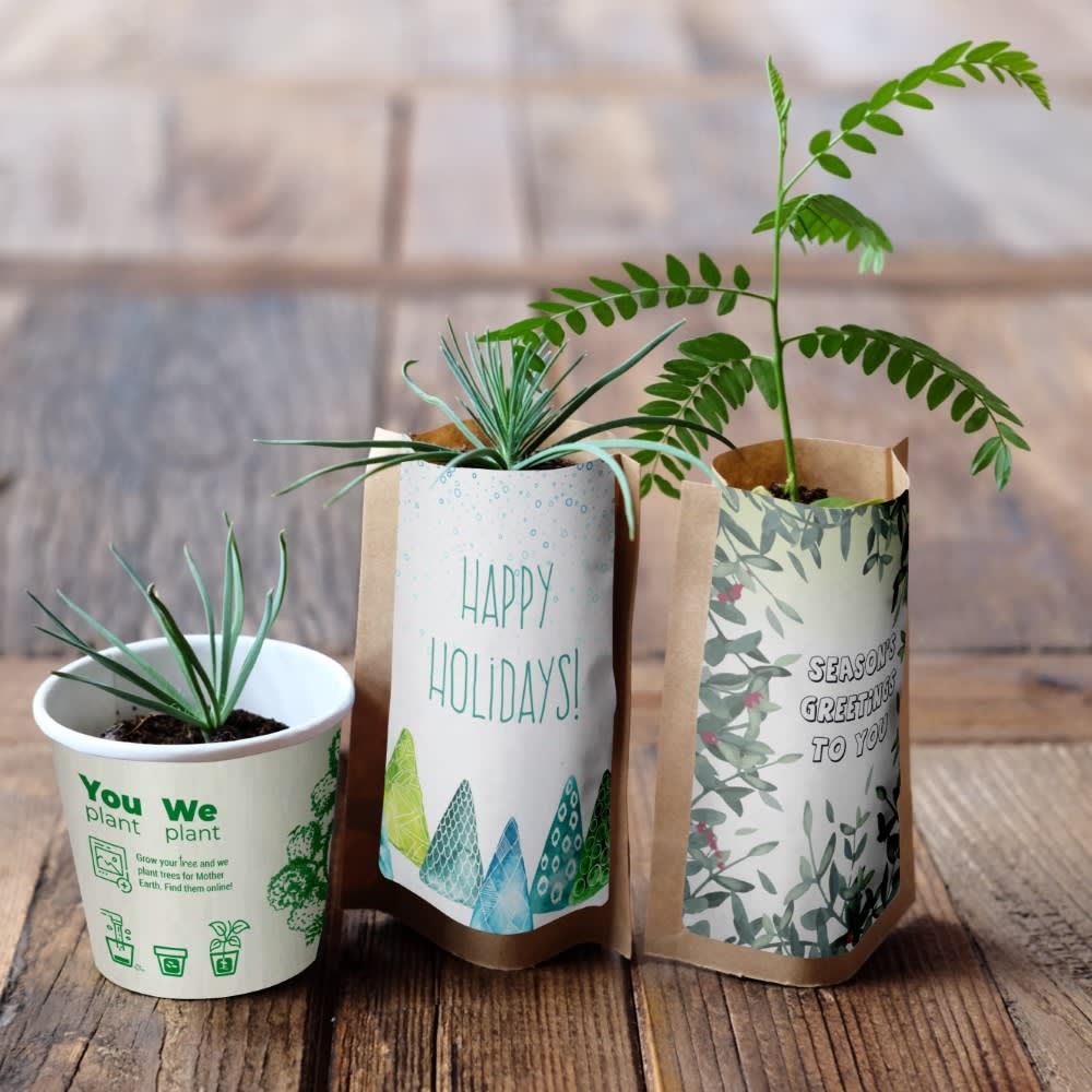 Holiday tree kits pack