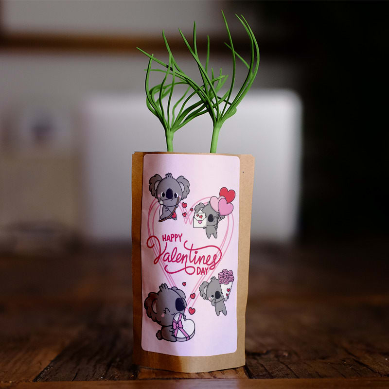 Koala Valentine