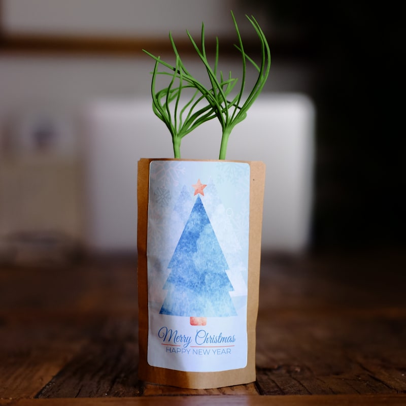 Christmas Blues