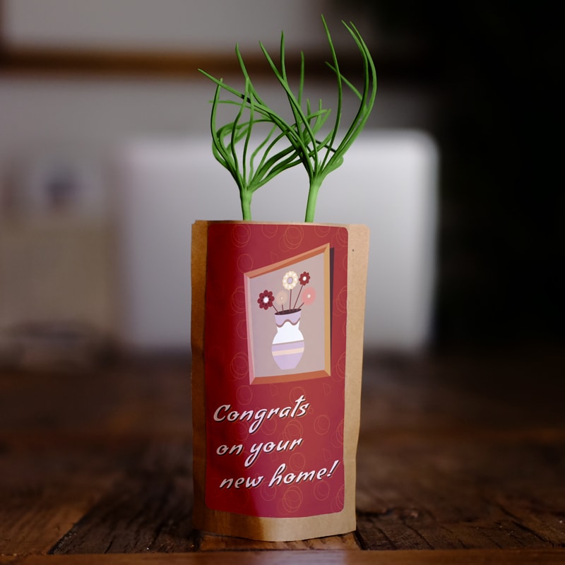 Congrats on your New Home