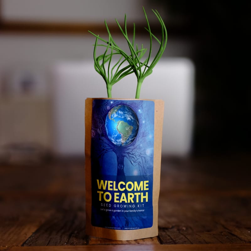 Welcome to Earth