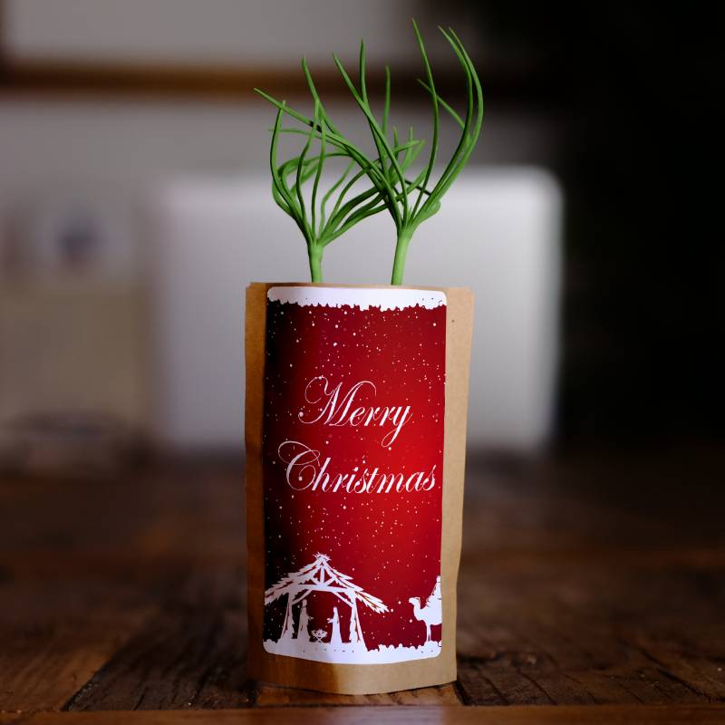 Red Christmas Crib