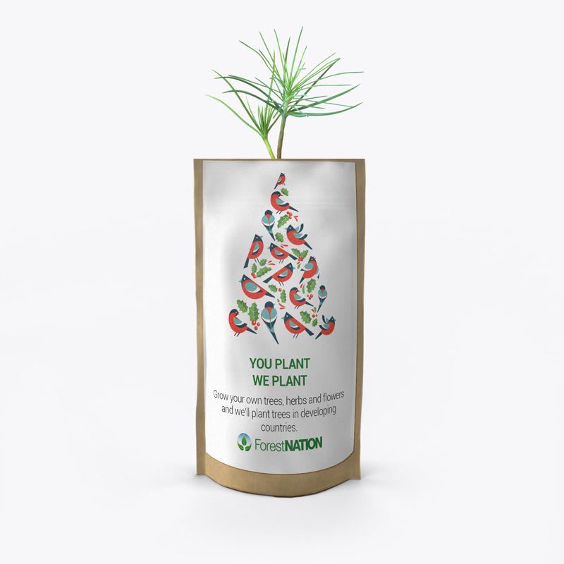 Season's Greetings