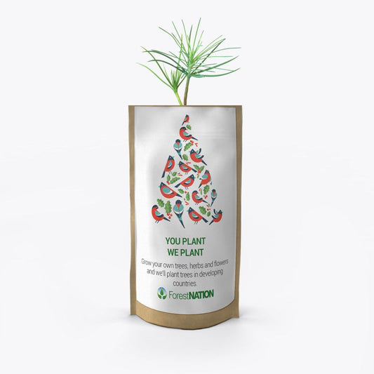 Season's Greetings