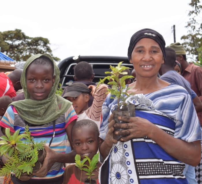 Pack of 20 Tree Kit Cups, We Plant 200 More Trees