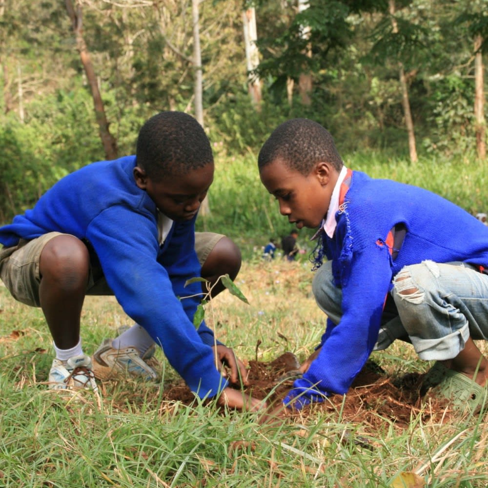 tanzania impact