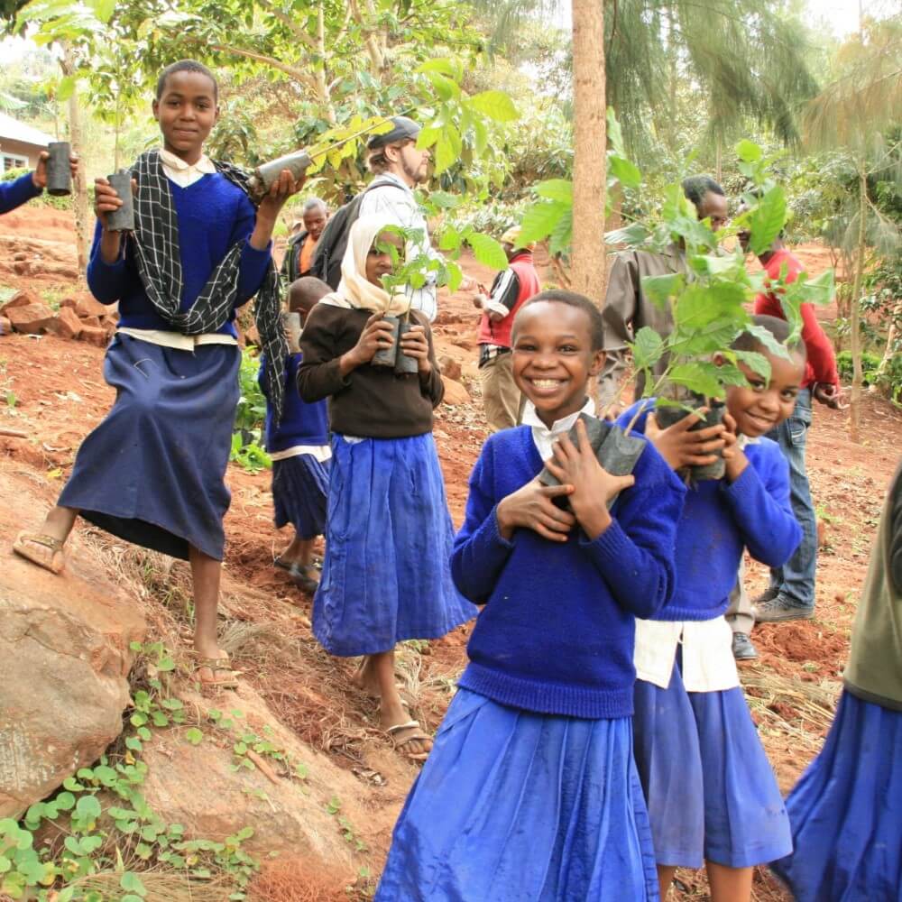 tanzania impact