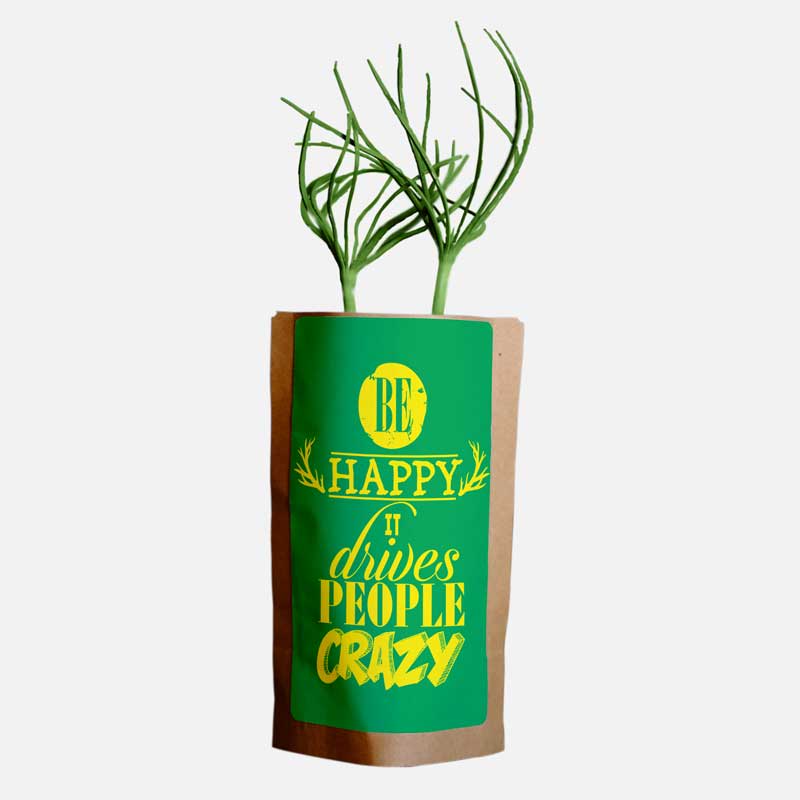 happy encouragement