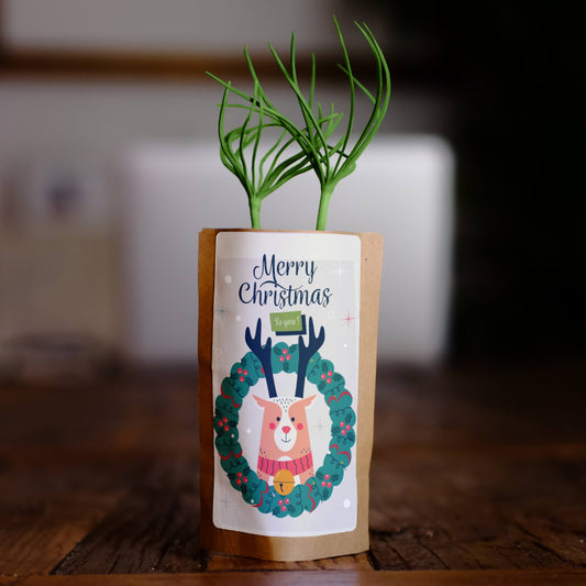 Christmas Reindeer