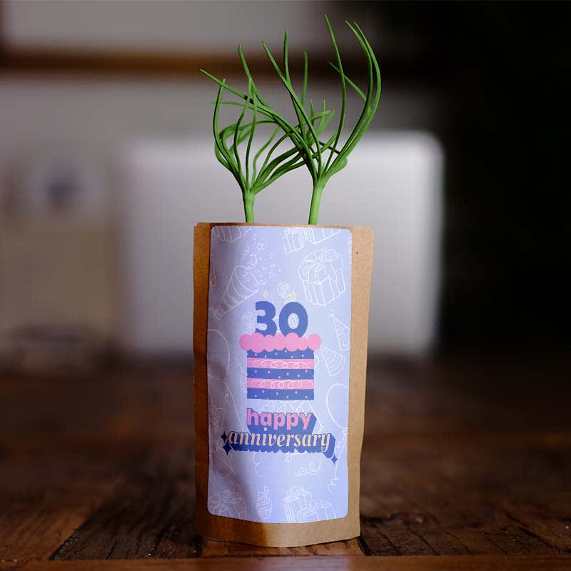30th Anniversary