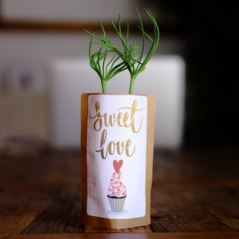 Sweet Love