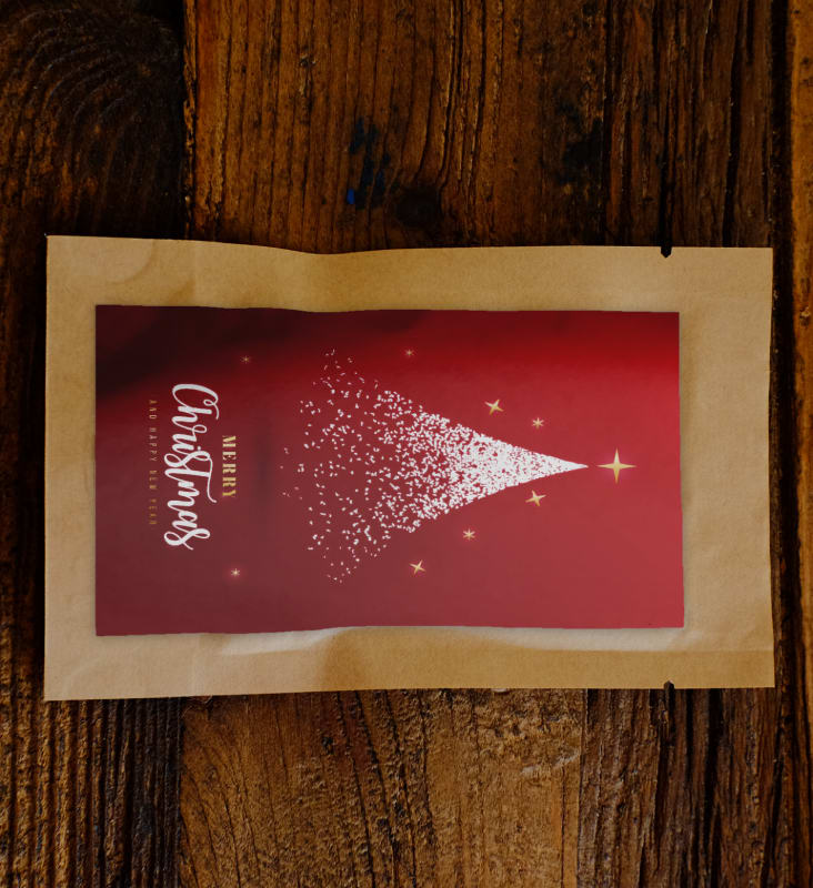 Christmas Stardust