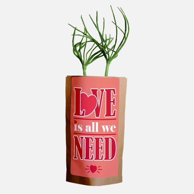 Love is all we need