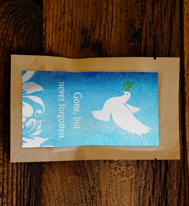 Sympathy Dove
