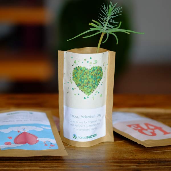 Happy-Valentines-Tree-Pouch
