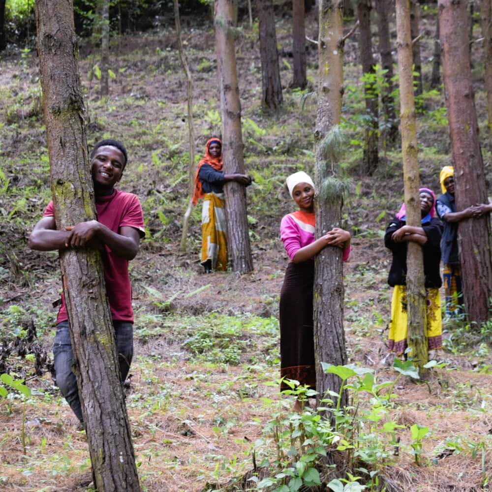tanzania impact
