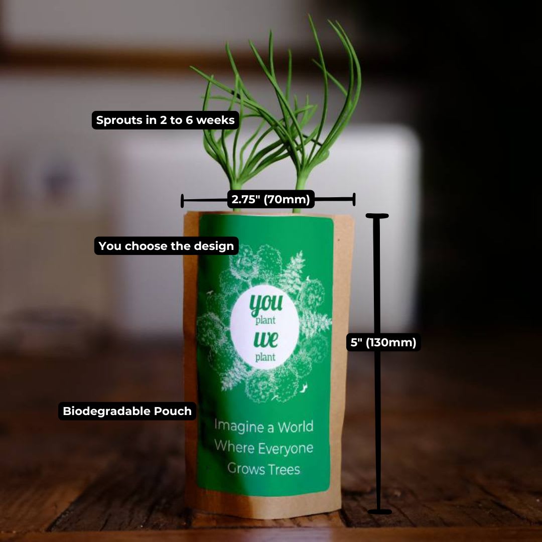 Biodegradable pouch for plant growth, customizable design.