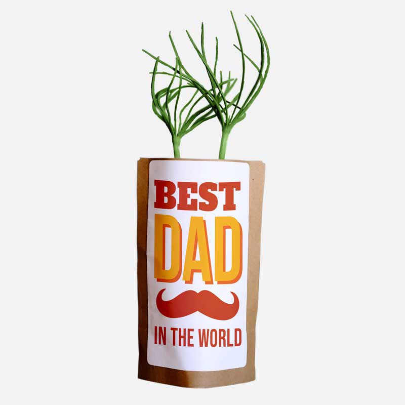 dad