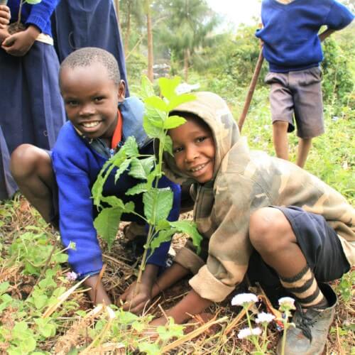 ForestNation Guardians Tree Kits Pack for Kids, We Plant 50 More Trees