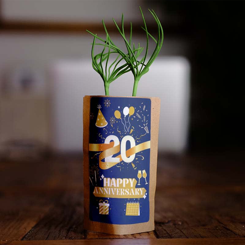 20th Anniversary