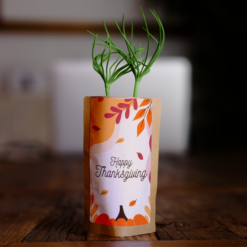 Happy Thanksgiving Day Card