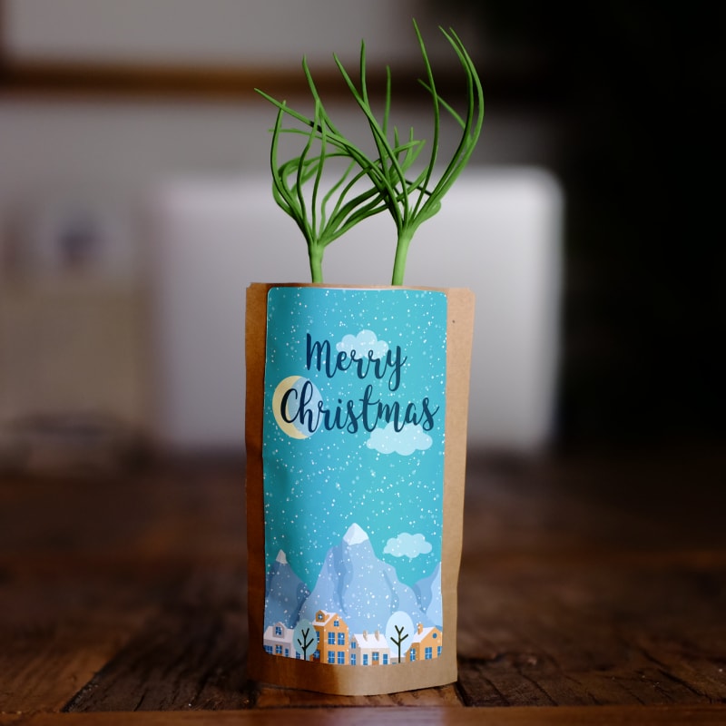 Snowy Christmas