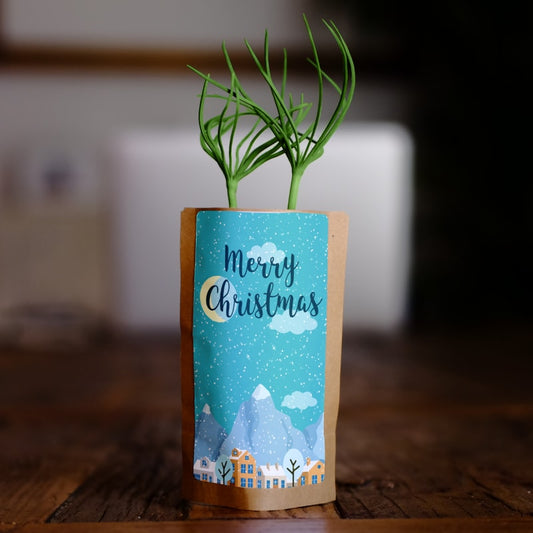 Snowy Christmas