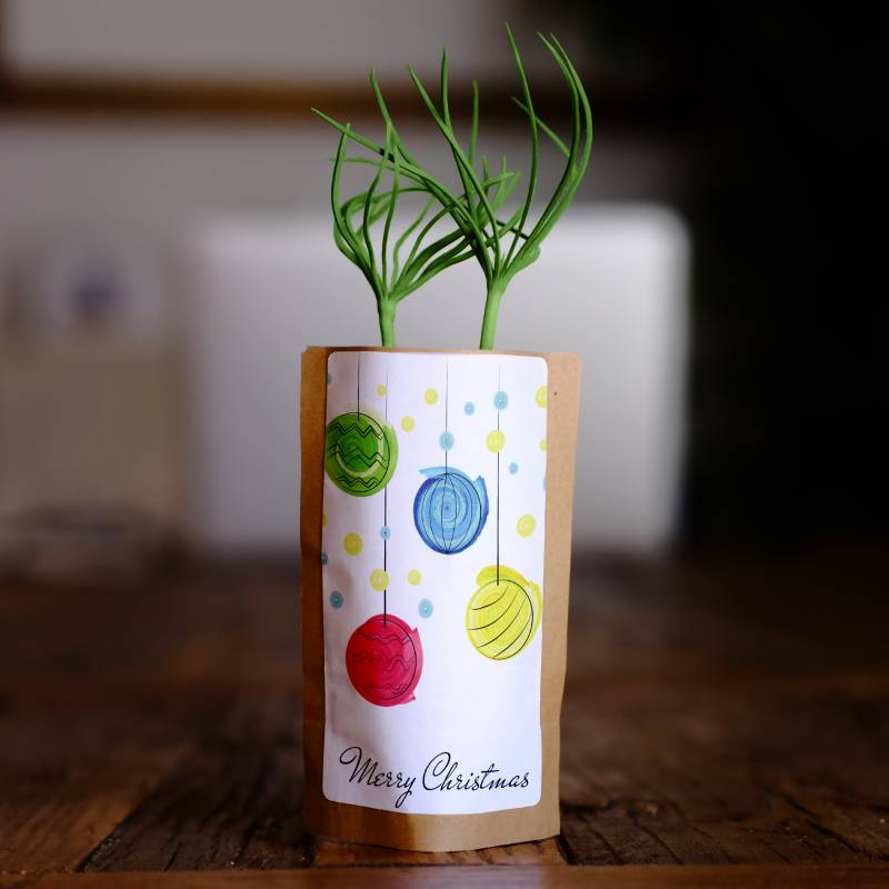 Merry Christmas Baubles