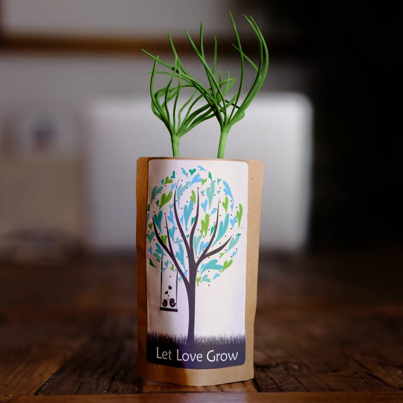 The Knot Marketplace