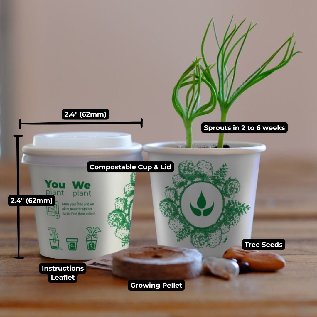Compostable planting kit with instructions and seeds.