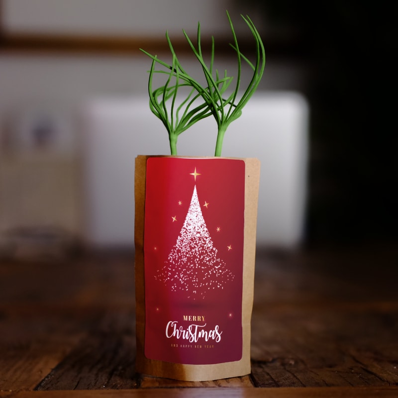 Christmas Stardust