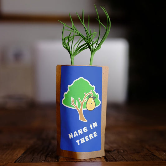 hang in there