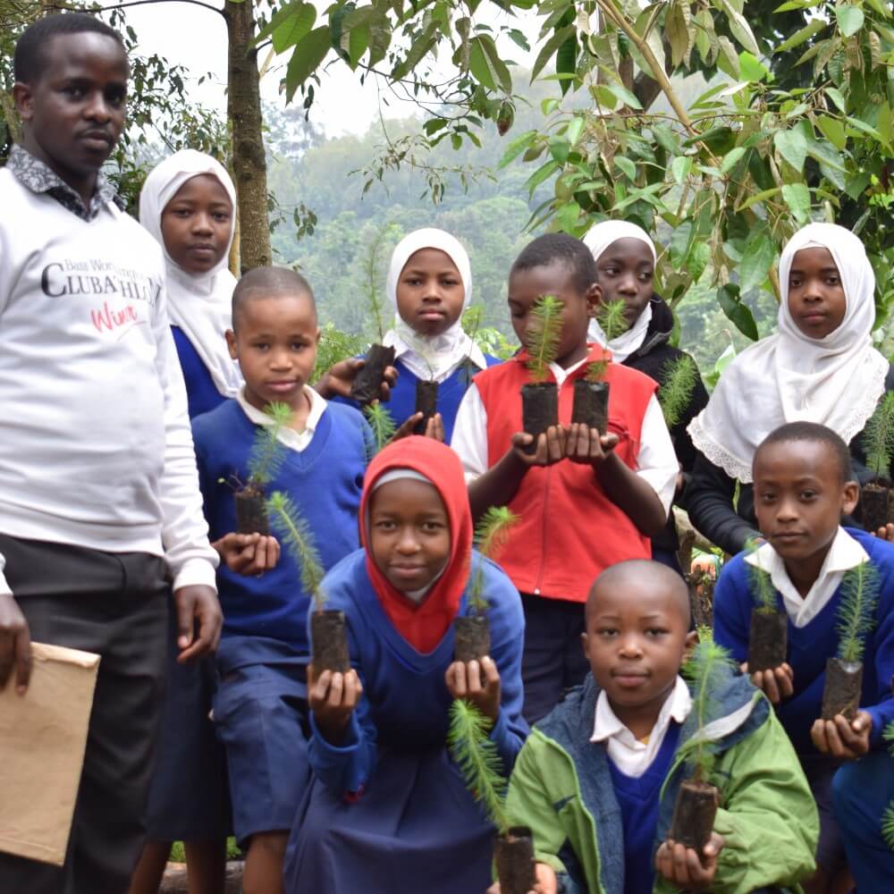 tanzania impact
