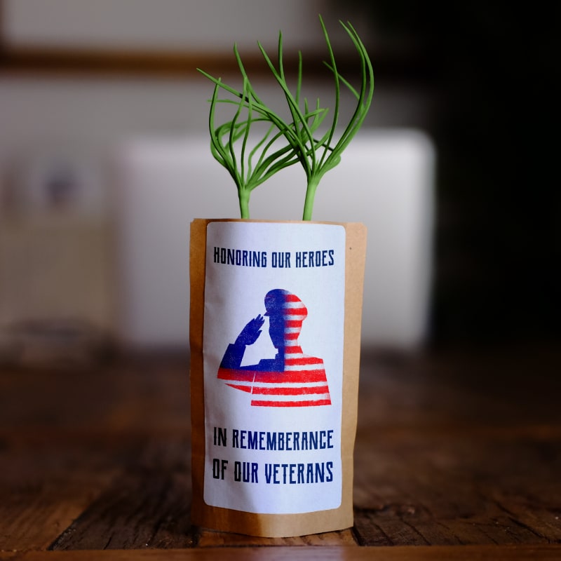 Veterans Honor