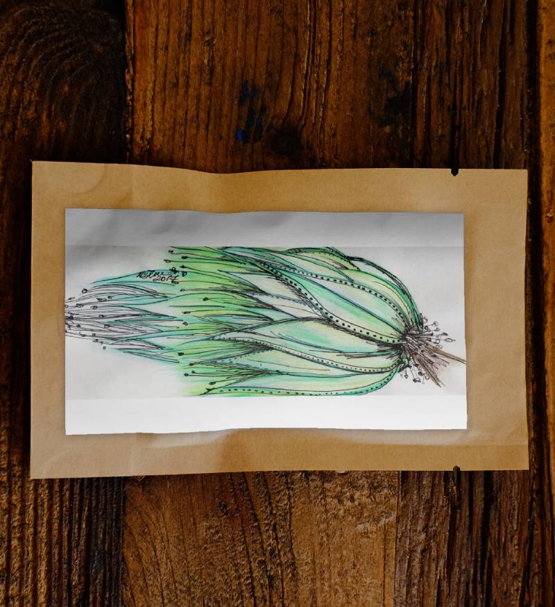 Australian Eucalyptus Tree by N'dene