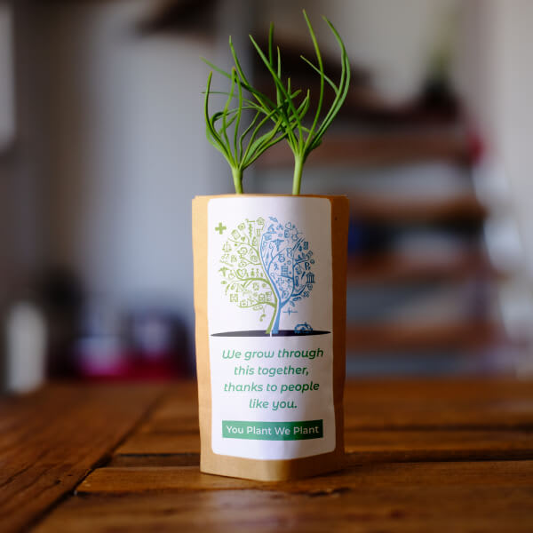 Medical Heroes Tree