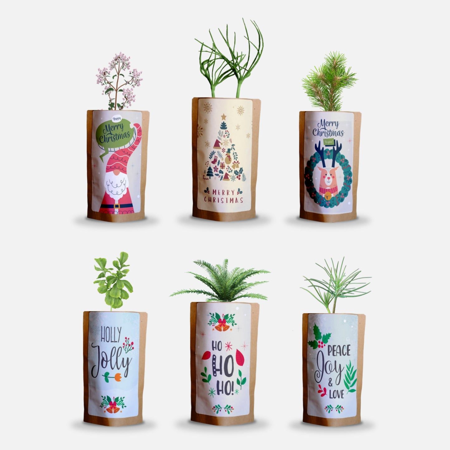 Christmas Greetings Tree Gift Pack, We Plant 60 More Trees