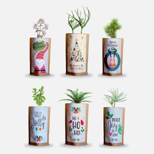 Christmas Greetings Tree Gift Pack, We Plant 60 More Trees