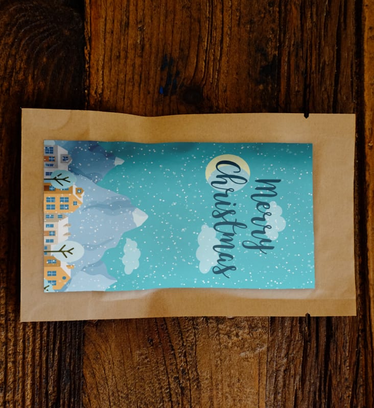 Snowy Christmas