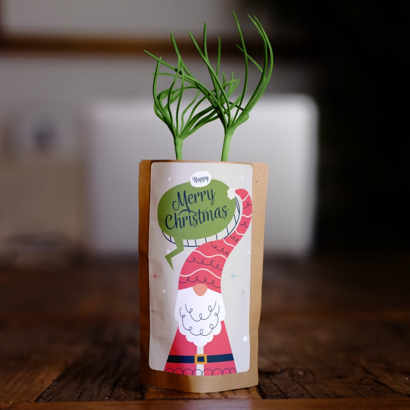 christmas gnome