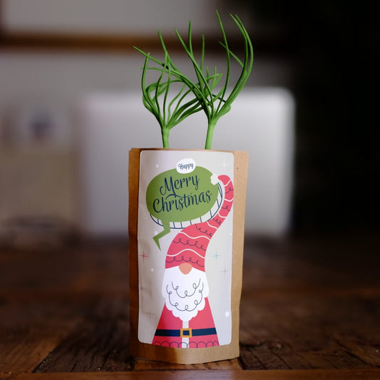 christmas gnome